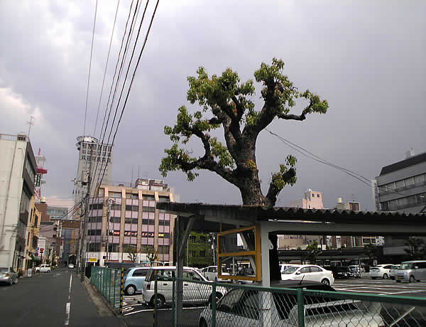 c0181543_23204153.jpg