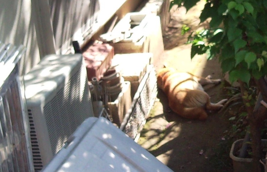 e0150843_18472947.jpg
