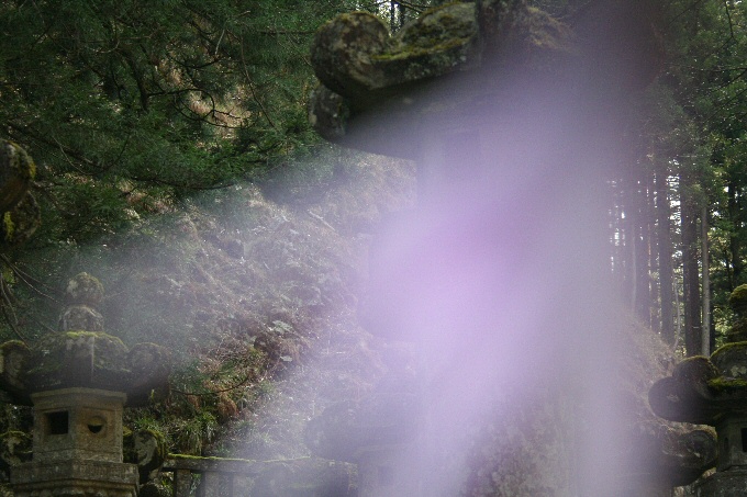 f0174244_18271842.jpg