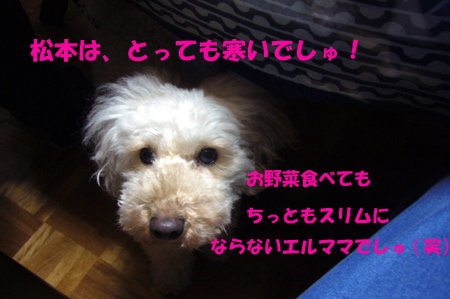 d0070047_21124100.jpg