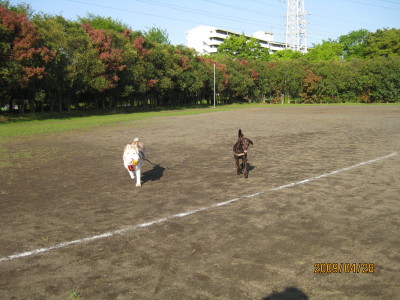 e0121548_22515432.jpg