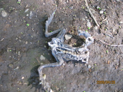 e0121548_2355747.jpg