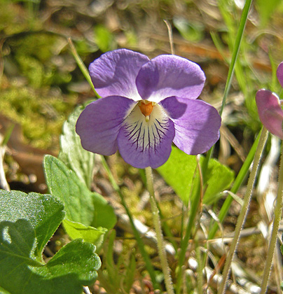 a0001354_22405563.jpg