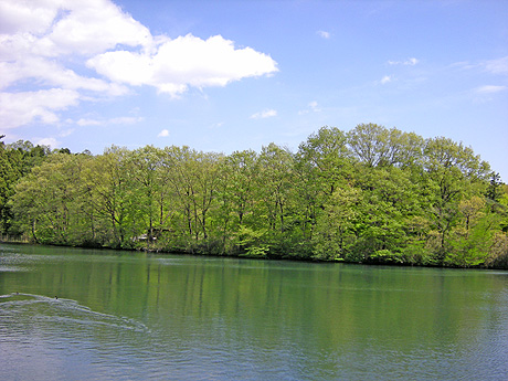 a0001354_2272510.jpg