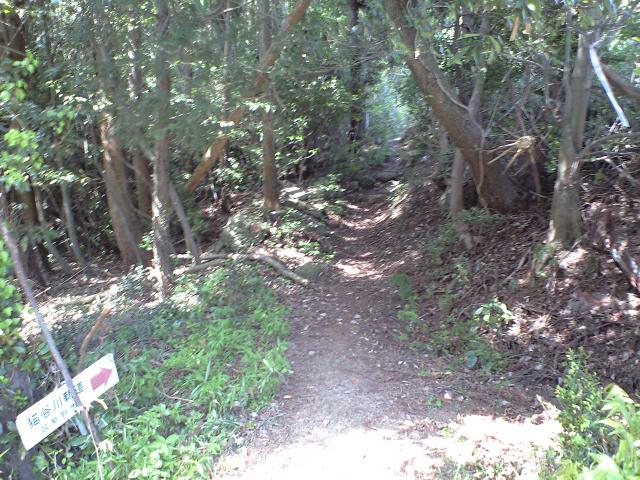 b0002156_6542855.jpg