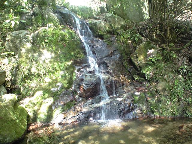 b0002156_6545065.jpg