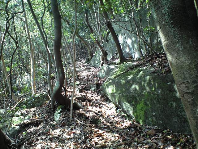 b0002156_6551121.jpg