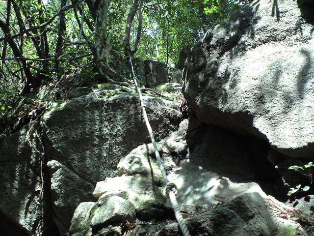 b0002156_6561042.jpg