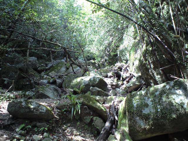 b0002156_657192.jpg
