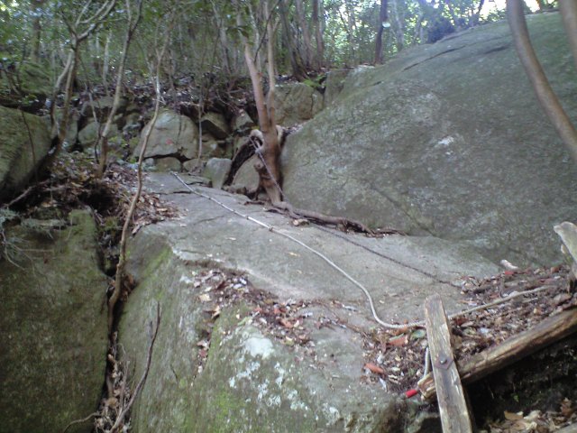 b0002156_6575158.jpg