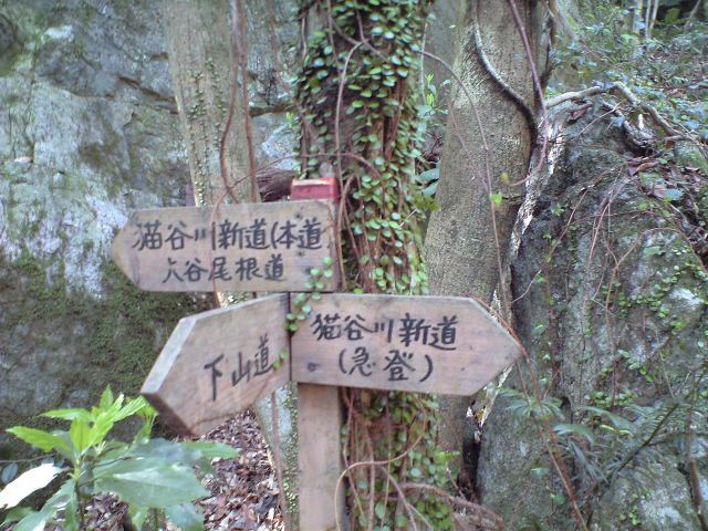 b0002156_6581260.jpg