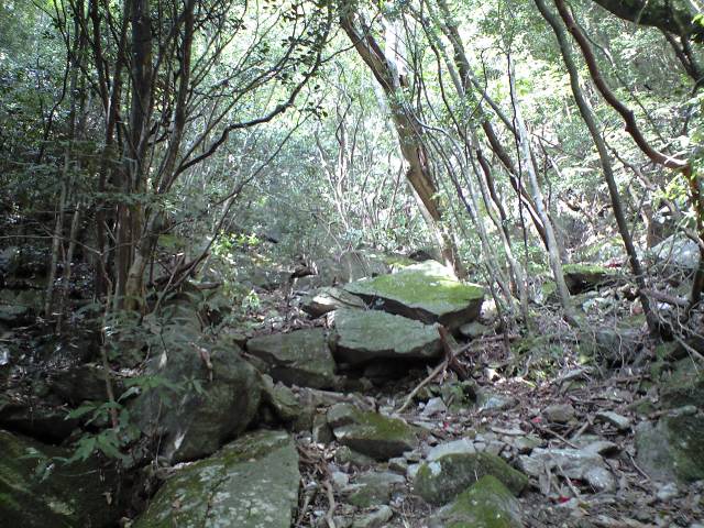 b0002156_6584247.jpg