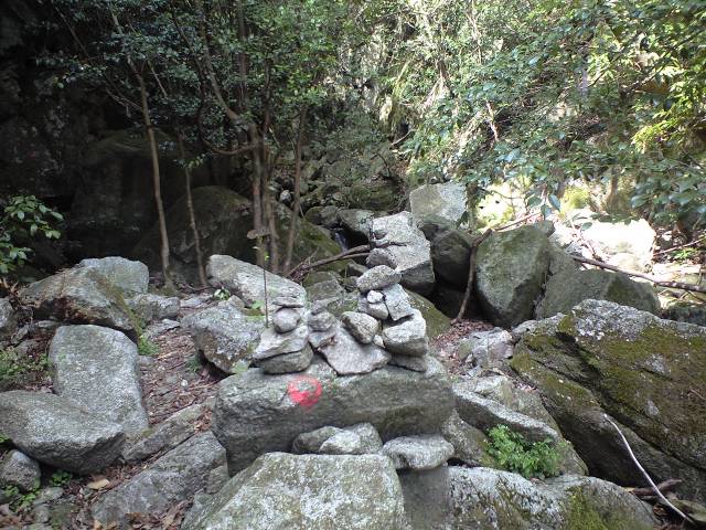 b0002156_702791.jpg