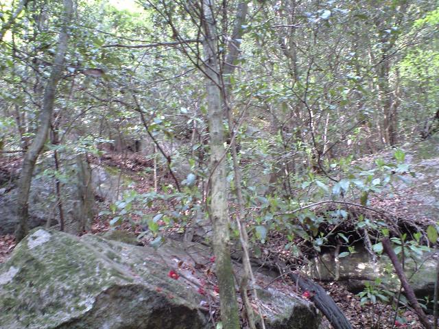 b0002156_72214.jpg