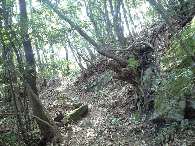 b0002156_722410.jpg