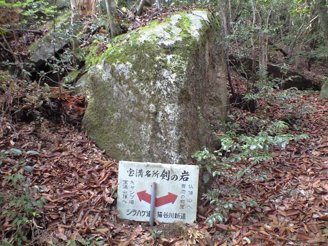 b0002156_724865.jpg