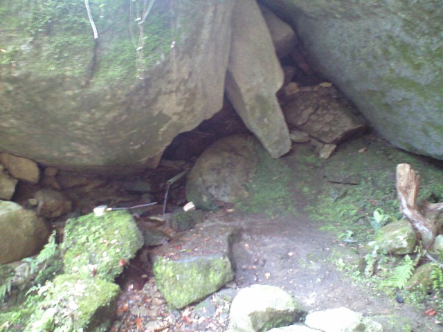b0002156_731452.jpg