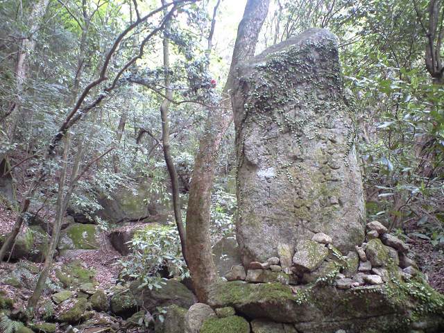 b0002156_763315.jpg