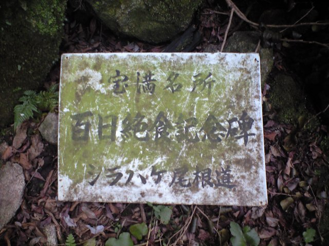 b0002156_764122.jpg