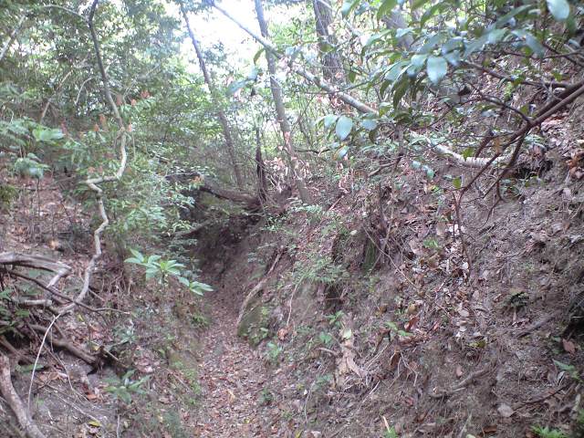 b0002156_764676.jpg