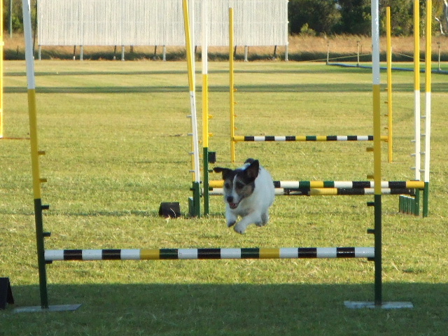 e0171460_011354.jpg