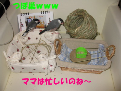 b0158061_023134.jpg