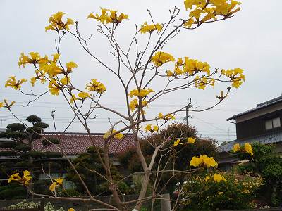 f0062462_11212860.jpg