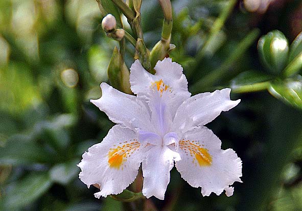 f0198771_165550.jpg