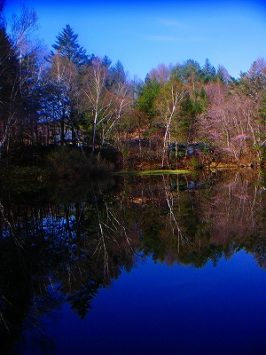f0182173_14201734.jpg
