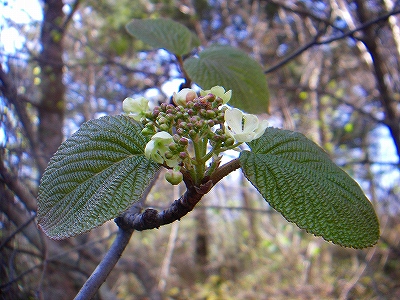 f0182173_14204213.jpg