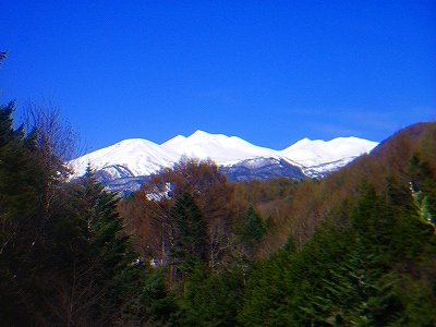 f0182173_1420430.jpg