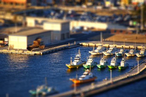 d0080882_16574631.jpg