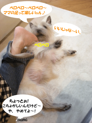 e0066883_21225333.gif