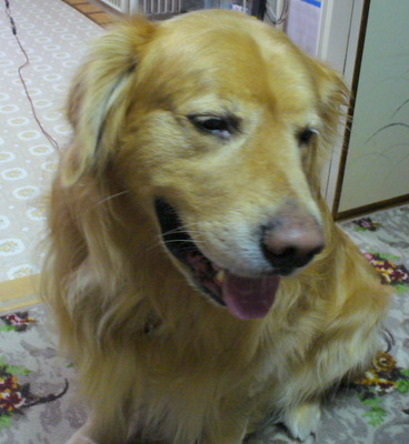 e0026586_2332891.jpg