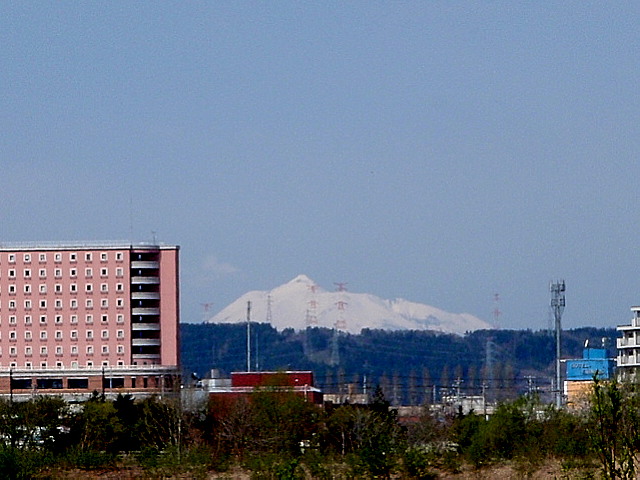 a0007388_1149272.jpg