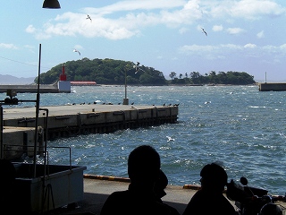 a0109288_118151.jpg