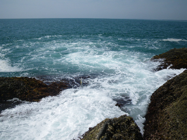 e0052088_17333798.jpg