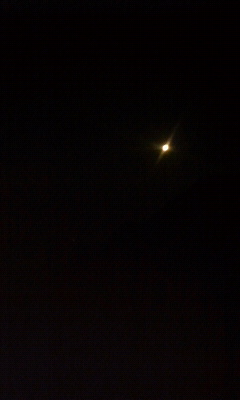 e0052088_1743793.jpg