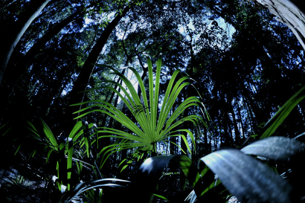 f0024992_1482345.jpg