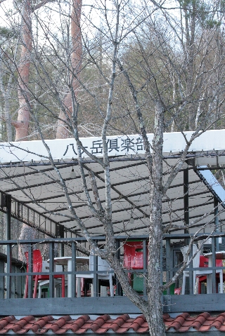 d0133693_21564178.jpg