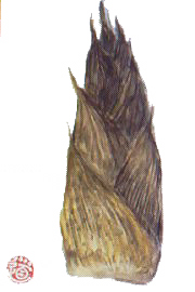 f0008597_20171339.jpg