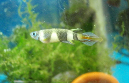 c0147699_1122525.jpg