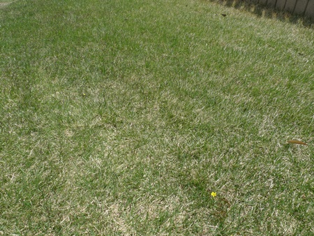 c0171001_12231661.jpg