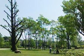 a0074202_16122776.jpg