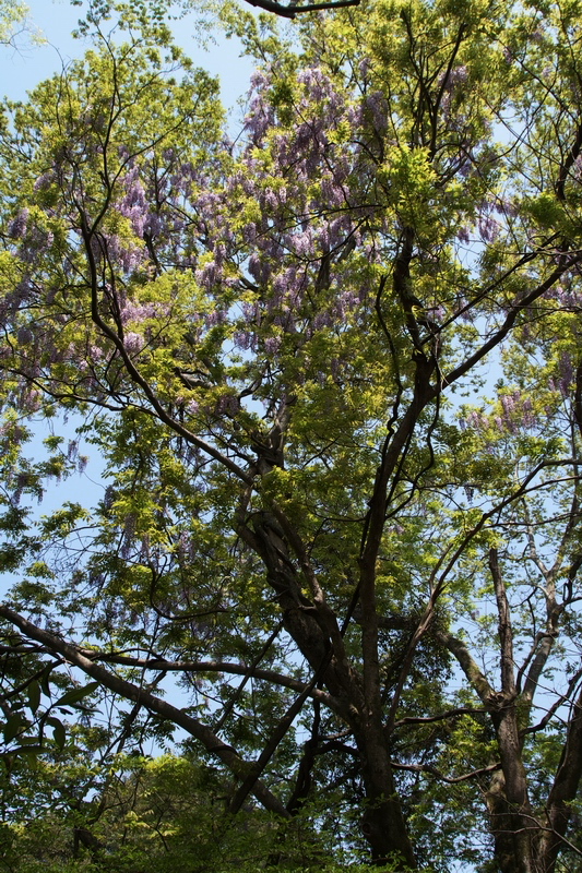 c0043403_22163961.jpg