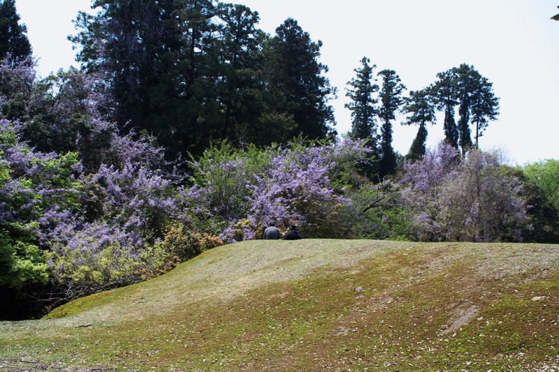 c0043403_22175736.jpg