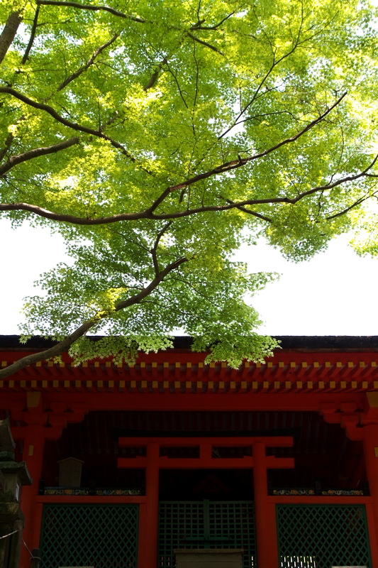 c0043403_2222316.jpg