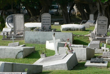 d0136804_8534395.jpg
