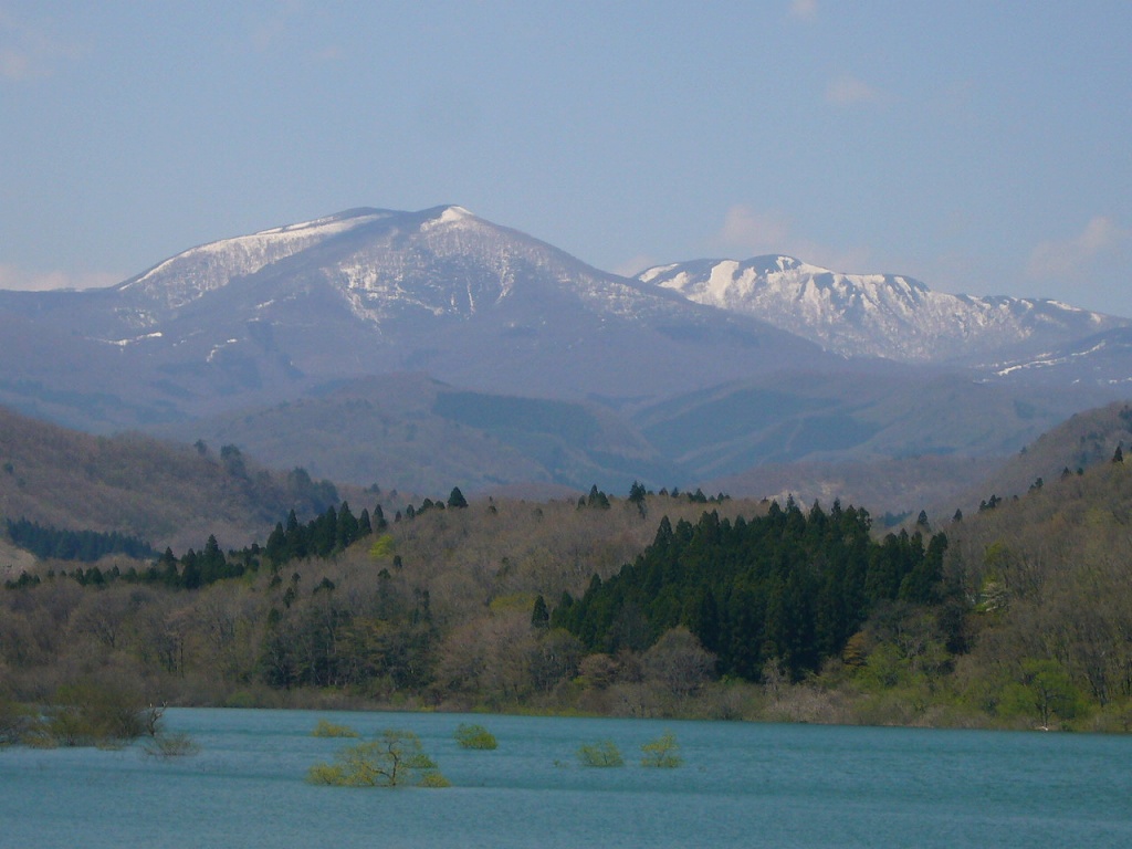 b0050305_2031746.jpg