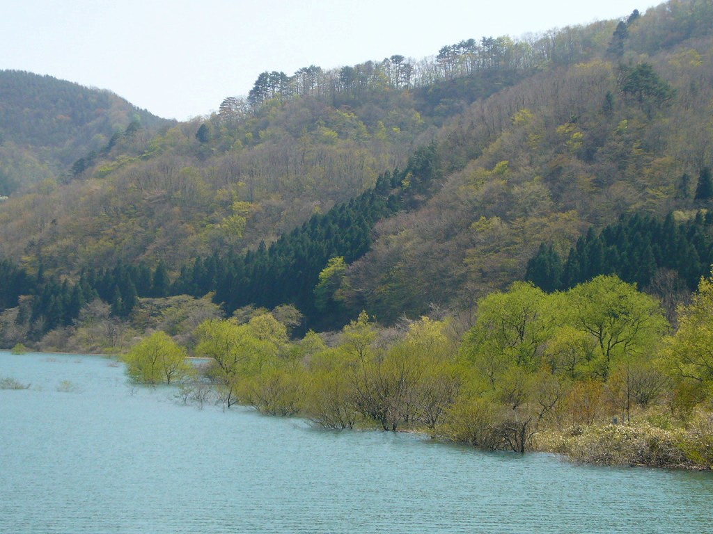 b0050305_2044783.jpg
